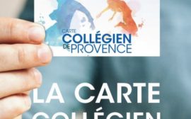 Collegien